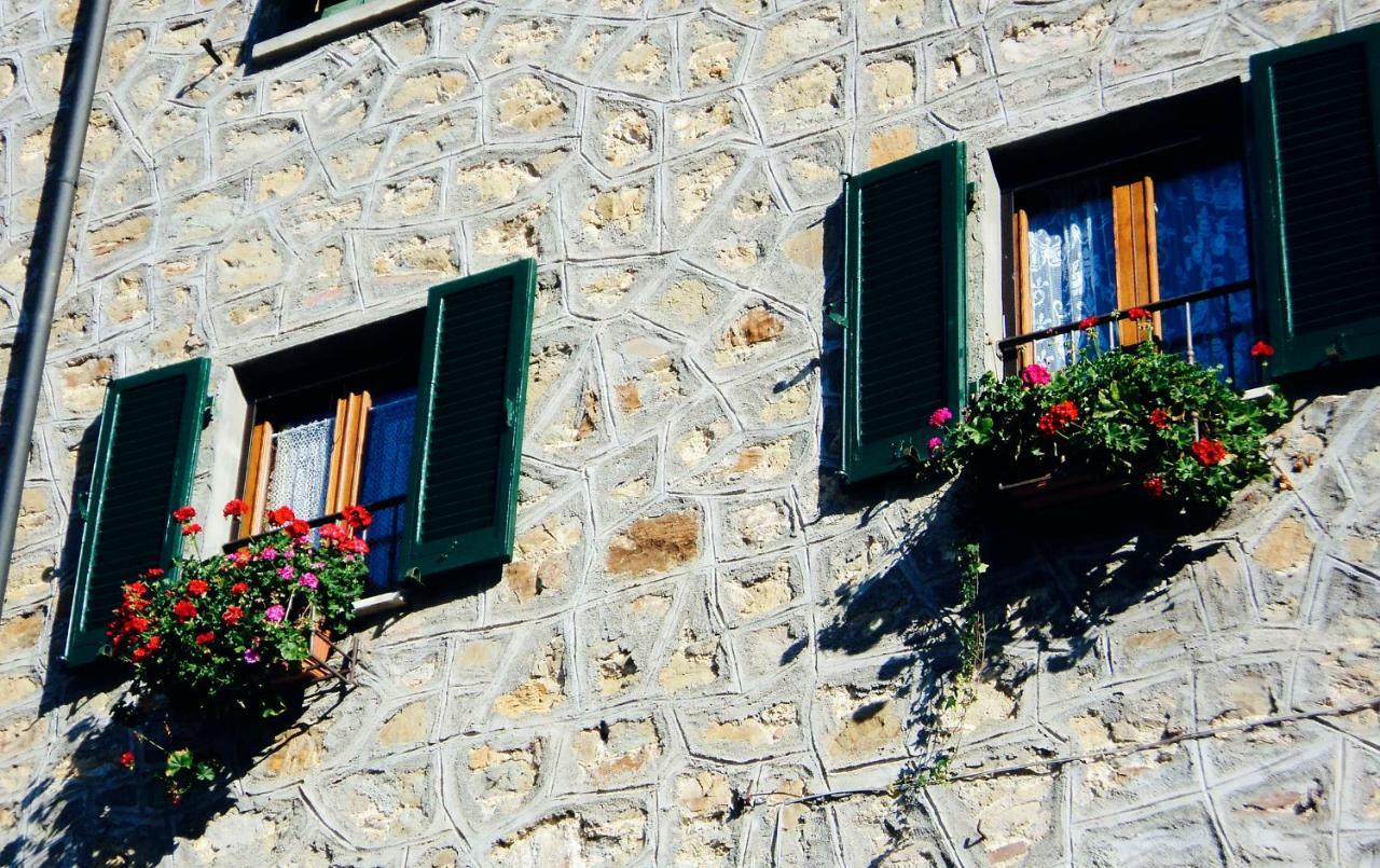 Andante Appartamenti Castelnuovo di Val di Cecina Eksteriør bilde