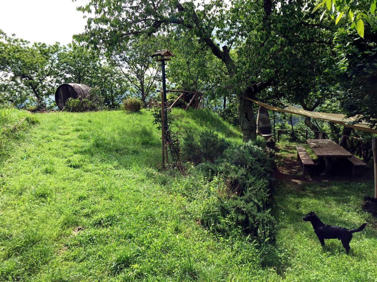 Andante Appartamenti Castelnuovo di Val di Cecina Eksteriør bilde