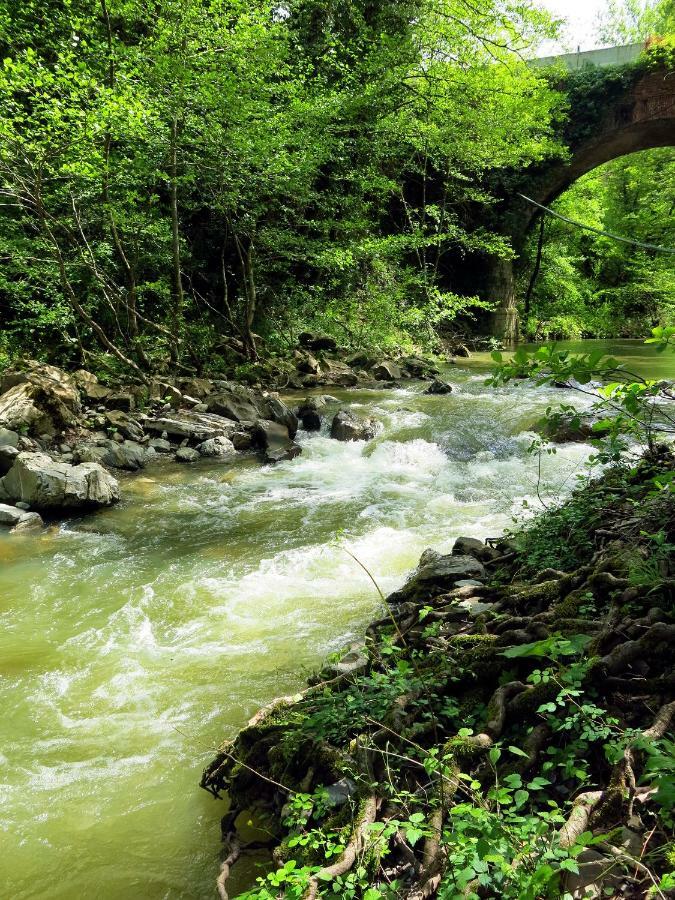 Andante Appartamenti Castelnuovo di Val di Cecina Eksteriør bilde
