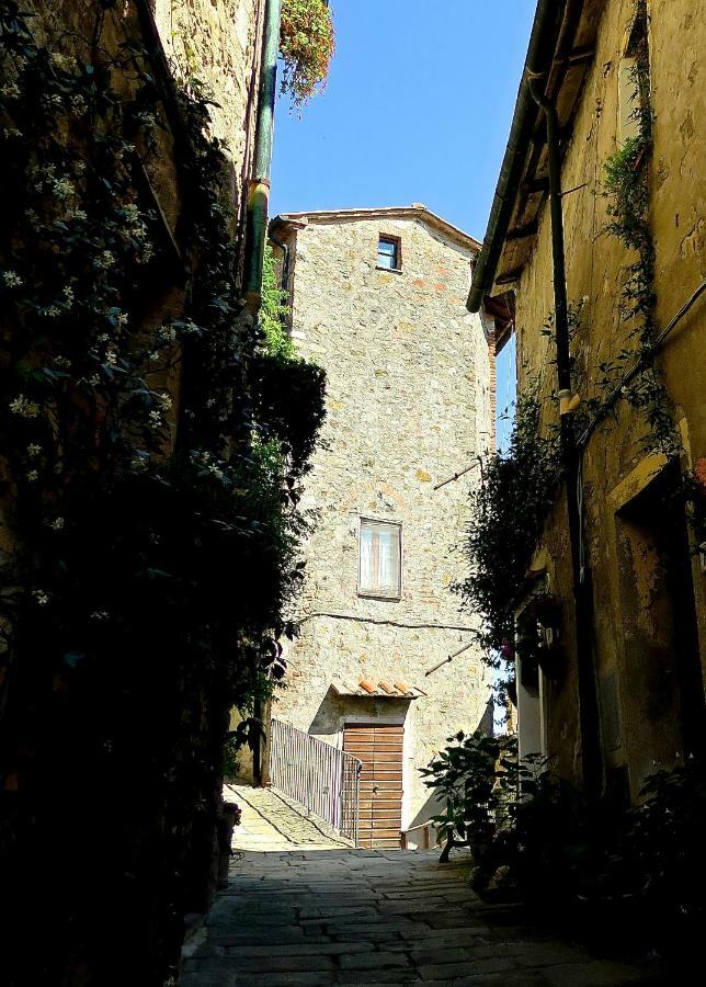 Andante Appartamenti Castelnuovo di Val di Cecina Eksteriør bilde